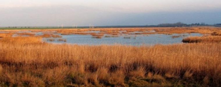 Пожар горя  край Дуранкулашкото езеро 