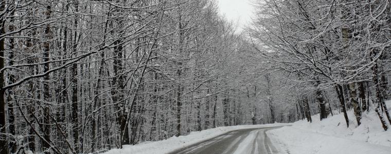 Верижна катастрофа около Рилци, пътят за Силистра е отворен