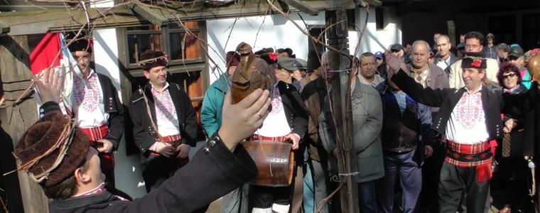 Кметът ще зареже лозата днес в „Стария Добрич”