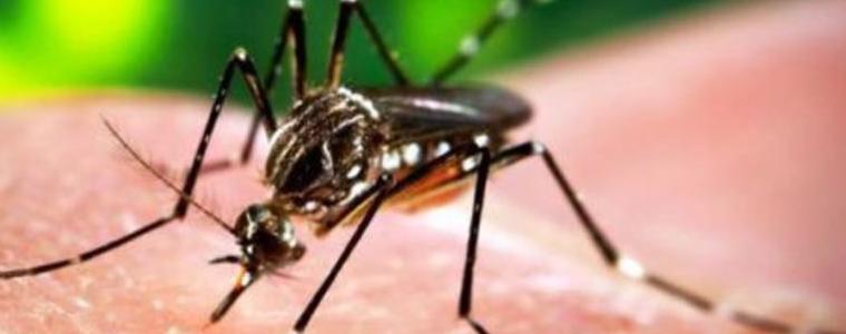 Първи случай на Зика в Русия