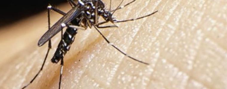 Здравните власти и общините със спешни мерки срещу Зика и у нас