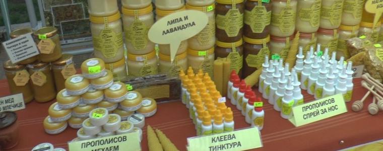 Предстои десето юбилейно издание на Фестивала на меда в Добрич (ВИДЕО)