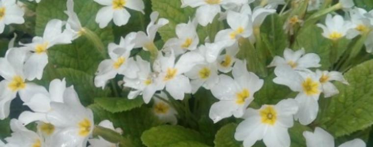 Прогноза за 30 април