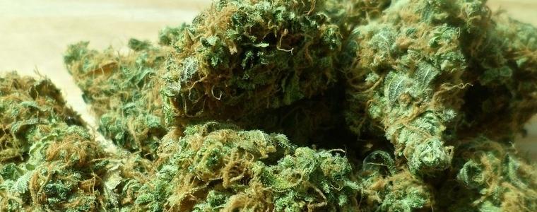 Анфетамини и трева открити в къща в Тервел