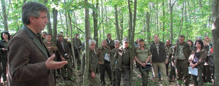 Лесовъди: Полезащитните горски пояси увеличават добивите от селскостопански култури до 30%