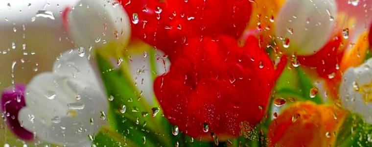 Прогноза за времето в сряда, 25 май