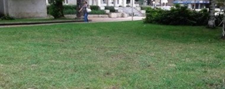 Да помогнем на общинарите при косене на тревните площи!