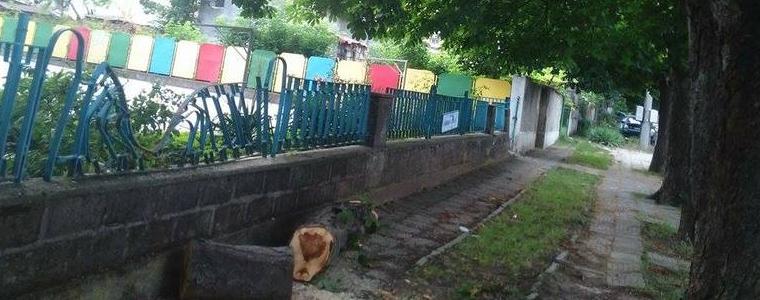Клон повреди ограда на детска ясла