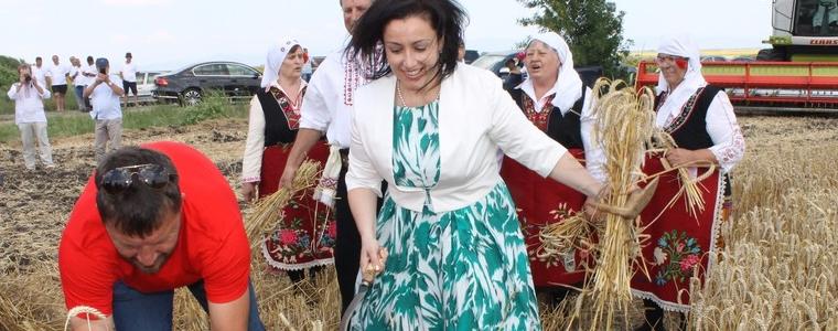 Министър Танева: През тази година има увеличение на площите със зърнено-житни култури