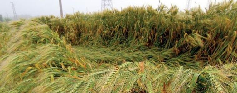 Земеделците за новата концепция за противоградна защита: Вменява ни се "данък-градушка"