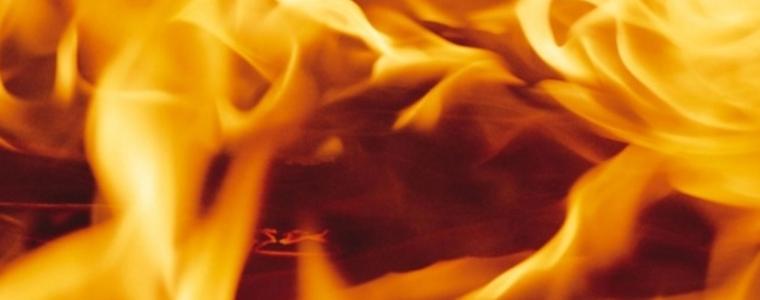 31 дка житни култури 2 дка гора са изгорели от началото  на месеца