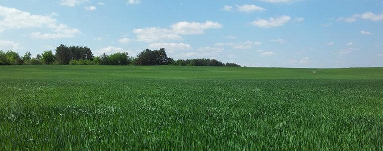 До края на юли собствениците на ниви трябва да обявят как ще ги стопанисват