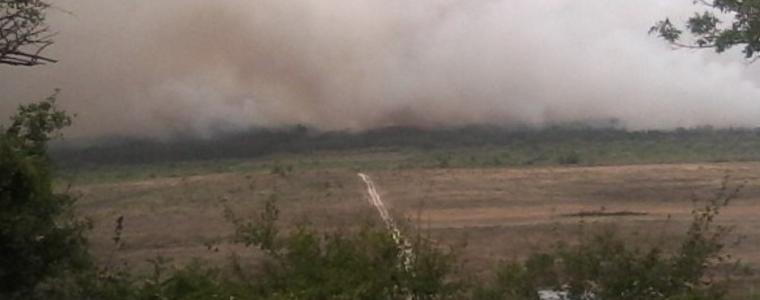 12 екипа на Пожарната от Добрич и Варна гасиха пожар край Ген. Кантарджиево
