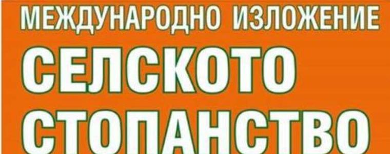 Добрич панаирен град от утре