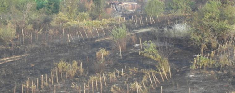 Гасиха 180 пожара за денонощие