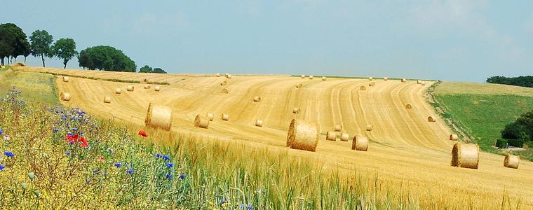Прогноза за времето в понеделник, 15 август