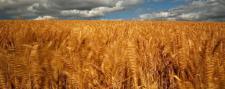 Захлаждането ще дойде в сряда