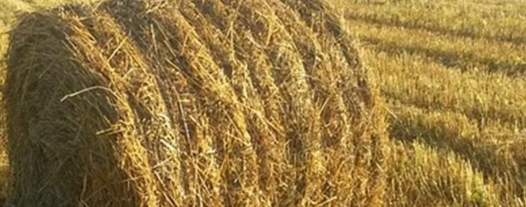 Прогноза за неделя, 4 септември