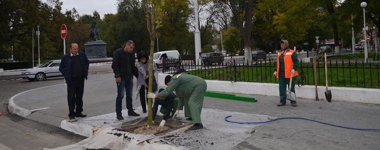 297 дървета ще бъдат засадени в побратимения Измаил