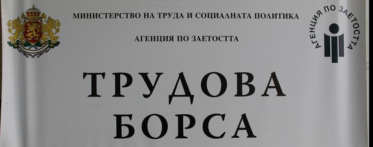 Фирми от различни браншове предлагат работни позиции на трудова борса в Добрич (ВИДЕО)