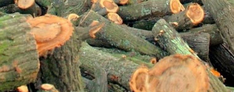Община Добрич продава дърва за огрев