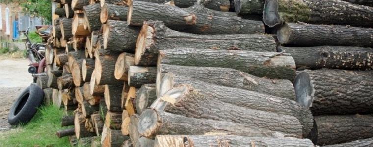 Въвеждат нова електронна система за продажба на дървесина