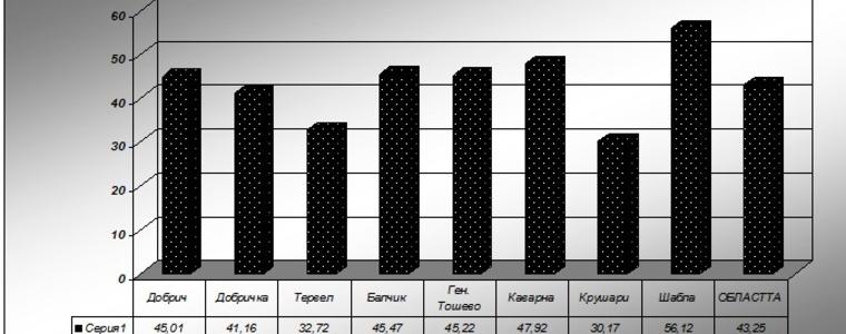 80 хиляди дадоха гласа си за избор на пети президент в област Добрич