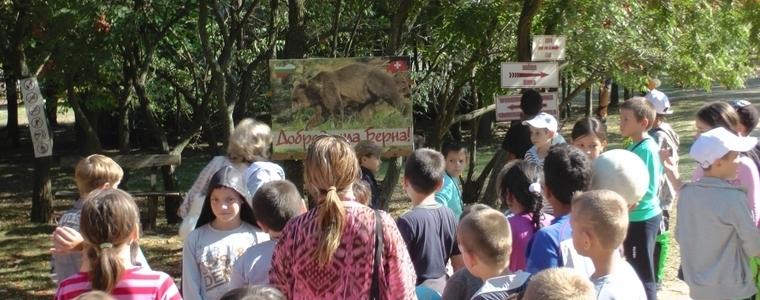 ЦЗПЖ кани на 23 декември децата на Добрич да приготвят заедно коледни дръвчета за животни