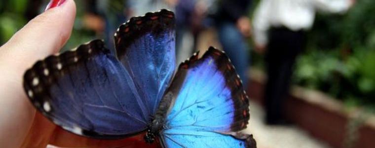 Откриха издирвания мъж