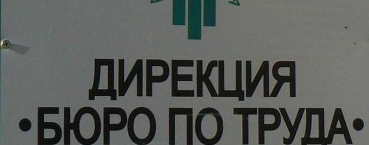 Търсят се берачи на ягоди и малини