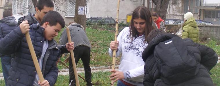 Ученици от Частната профилирана гимназия „Райко Цончев“ засадиха дръвчета 