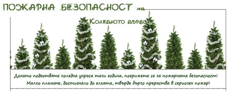 Пожарникарите със съвети за коледните елхи у дома и лампичките върху тях