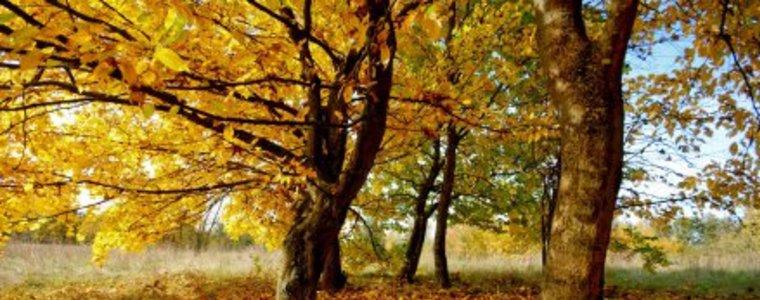 Слънчев понеделник ни очаква утре