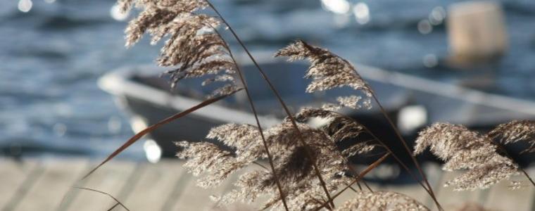 Топъл уикенд, ще се застуди срещу вторник