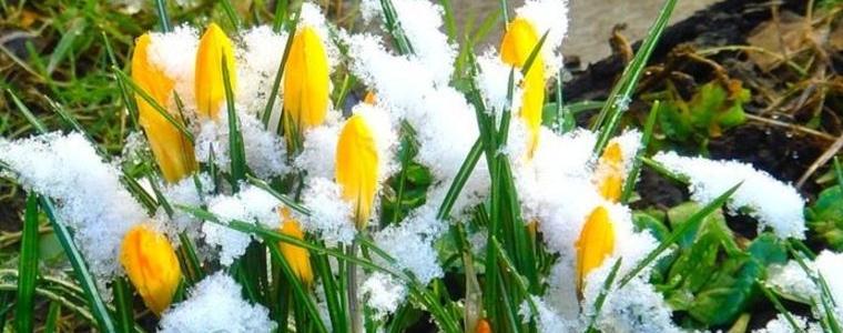До 11 градуса в края на седмицата