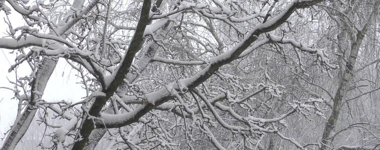 Няма отворени пътища в област Добрич