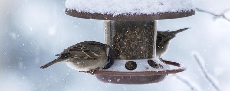 Нов студен фронт и нова снежна покривка във вторник вечерта