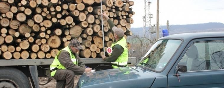 666 кубика крадени дърва са хванати миналата година от горските в област Добрич