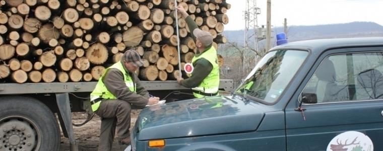 Драстични нарушения, свързани с незаконна сеч, са установени от горските стражари в Генерал Тошево и Балчик