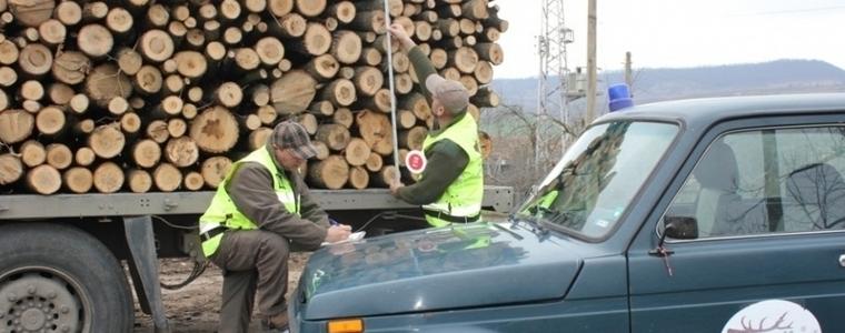 За седмица близо 9 куб. дърва са конфискувани от горските в областта