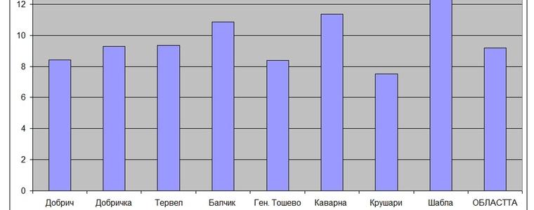 9,17 % активност в област Добрич за парламентарен вот до10 ч.