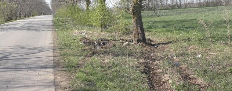 Двама загинали и трима ранени при удар в дърво край Паскалево (ВИДЕО)