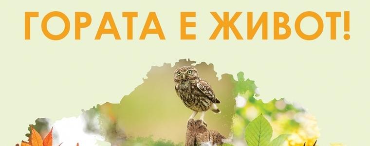 Ученици от Добрич ще покажат лесовъдски умения