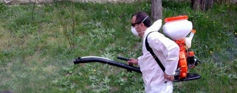 Започват регулярните обработки срещу кърлежи в Добрич