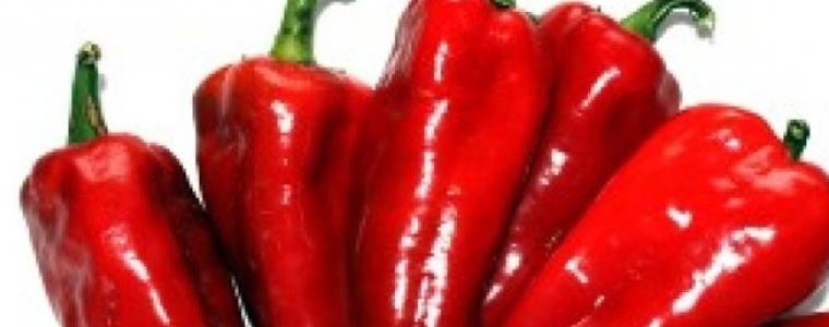 Царевица, слънчоглед, соя, фасул, пипер и дини засяха стопаните в Добруджа
