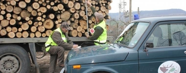 Горските стражари в Балчик задържаха автомобил заради незаконно добита дървесина