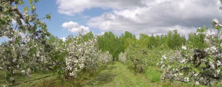 Прогноза за времето в понеделник, 8 май 