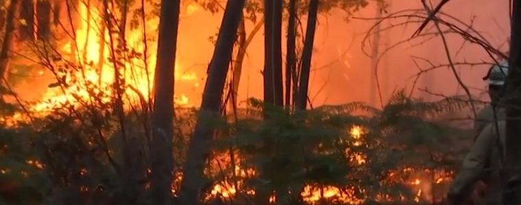 57 жертви на огъня в Португалия, няма пострадали българи (ВИДЕО)