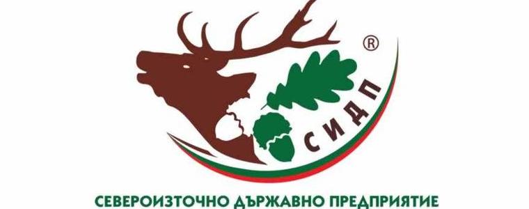 ДГС „Добрич” изгражда 35 км минерализовани ивици и лесокултурни прегради срещу горски пожари