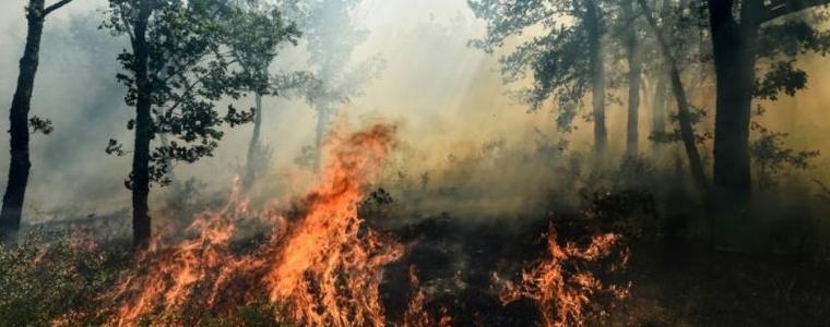 10 000 души евакуирани във Франция заради пожар  